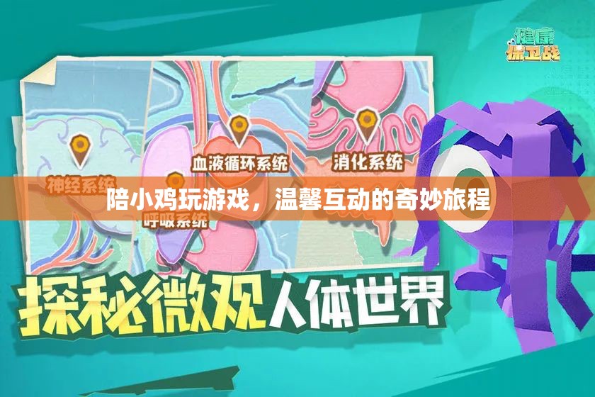 小雞伴游，溫馨互動(dòng)的奇妙旅程