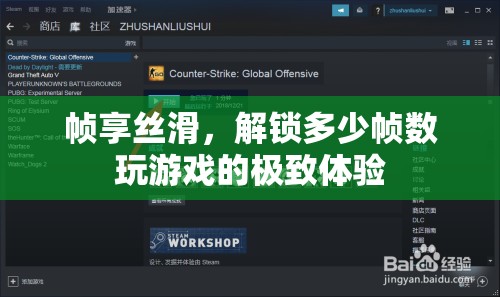 解鎖幀享絲滑，探索高幀數(shù)游戲的極致體驗(yàn)  第3張