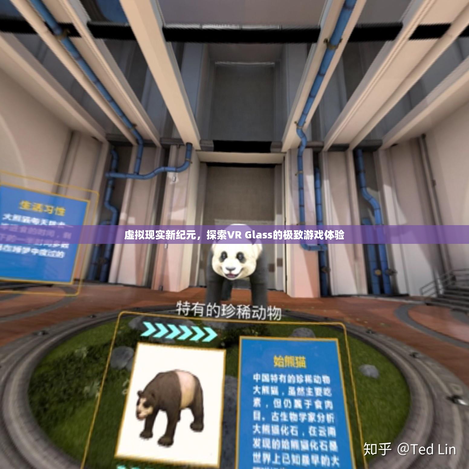 VR Glass，探索虛擬現(xiàn)實(shí)新紀(jì)元中的極致游戲體驗(yàn)