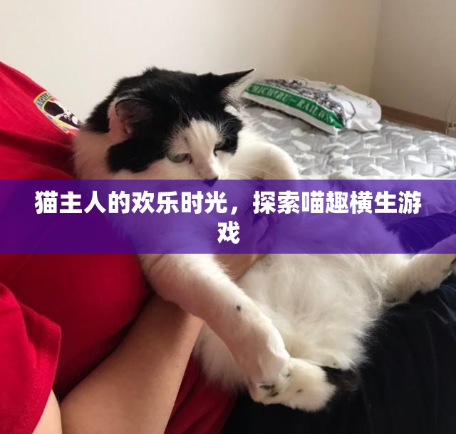 喵趣橫生，貓主人的歡樂時光探索