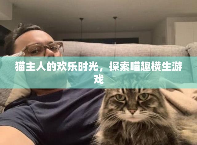 喵趣橫生，貓主人的歡樂時光探索