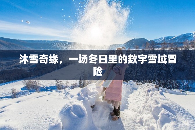 冬日奇緣，沐雪奇緣的數(shù)字雪域冒險