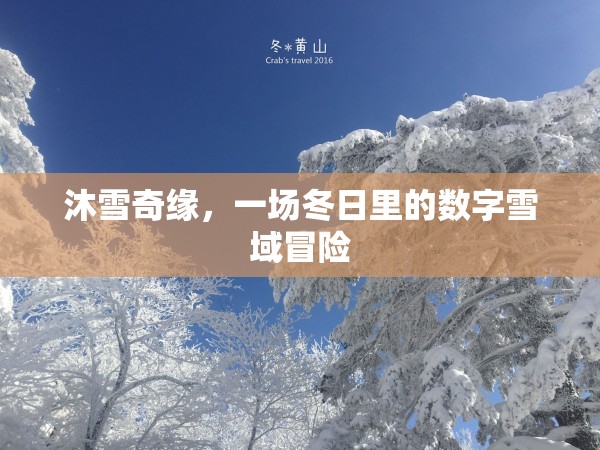 冬日奇緣，沐雪奇緣的數(shù)字雪域冒險