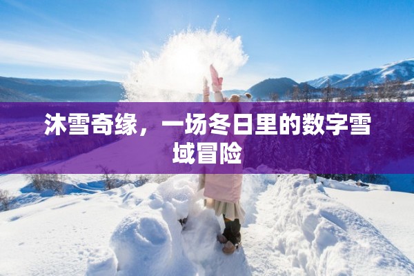 冬日奇緣，沐雪奇緣的數(shù)字雪域冒險