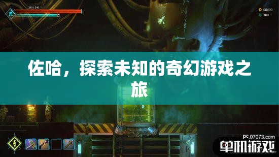 佐哈，探索未知的奇幻游戲之旅