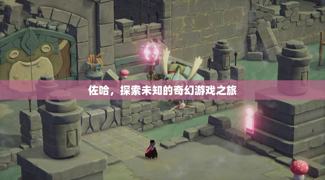 佐哈，探索未知的奇幻游戲之旅