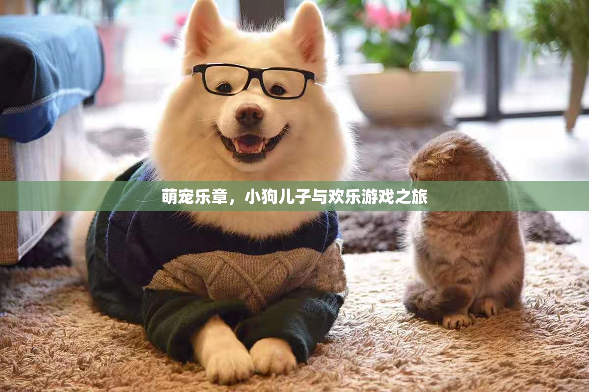 萌寵樂(lè)章，小狗兒子與歡樂(lè)游戲之旅