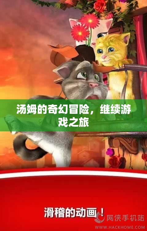 湯姆的奇幻冒險(xiǎn)，繼續(xù)游戲之旅的奇幻篇章