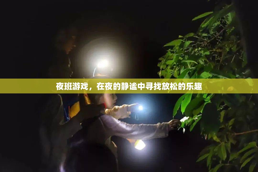 夜幕下的放松之旅，探索夜班游戲的樂趣