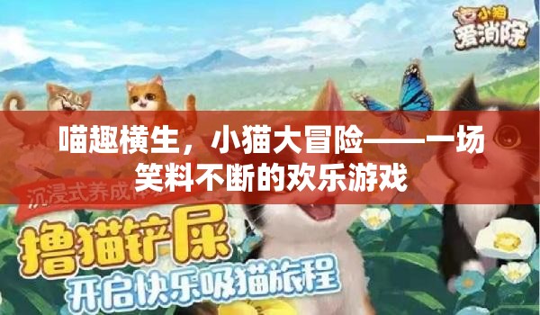 喵趣橫生，小貓大冒險的歡樂笑料之旅  第1張