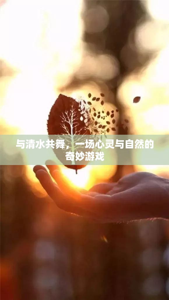 與清水共舞，心靈與自然的奇妙游戲