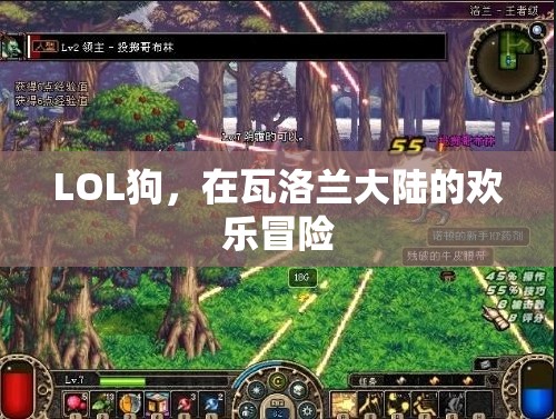 瓦洛蘭大陸的歡樂(lè)冒險(xiǎn)，LOL狗的奇幻之旅