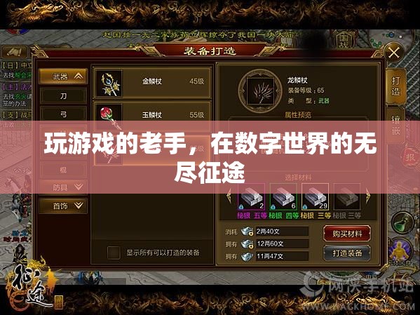 數(shù)字征途的資深玩家，游戲老手的無盡探索