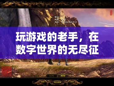 數(shù)字征途的資深玩家，游戲老手的無盡探索