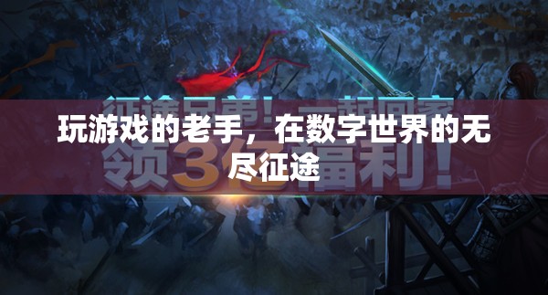 數(shù)字征途的資深玩家，游戲老手的無盡探索