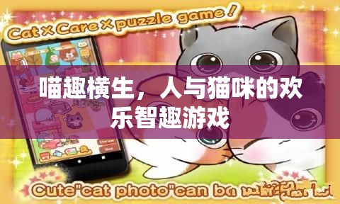 喵趣橫生，人與貓咪的歡樂智趣游戲