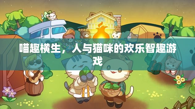 喵趣橫生，人與貓咪的歡樂智趣游戲