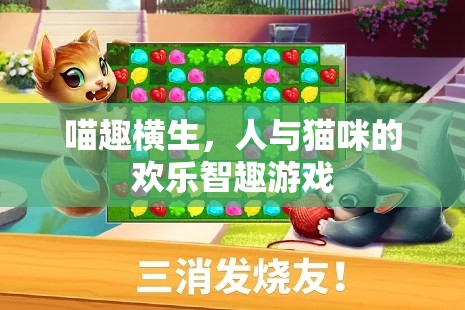喵趣橫生，人與貓咪的歡樂智趣游戲