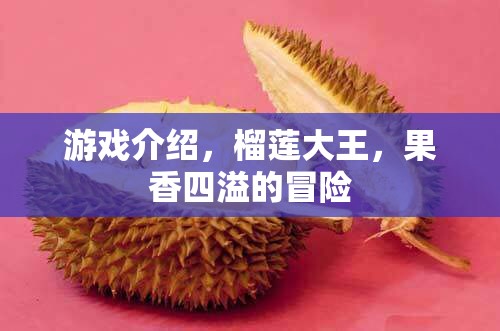 榴蓮大王的果香四溢冒險(xiǎn)之旅
