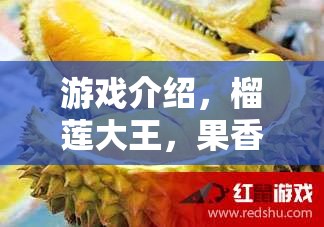榴蓮大王的果香四溢冒險(xiǎn)之旅