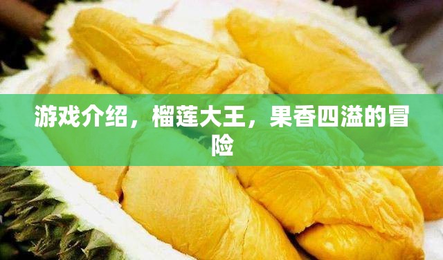 榴蓮大王的果香四溢冒險(xiǎn)之旅