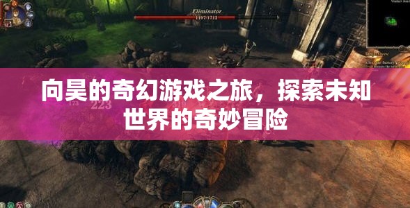 向昊的奇幻游戲，探索未知世界的奇妙冒險