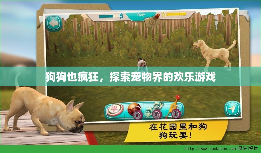 狗狗也瘋狂，探索寵物界的歡樂游戲