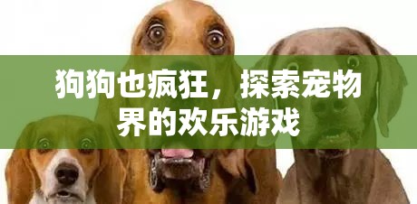 狗狗也瘋狂，探索寵物界的歡樂游戲