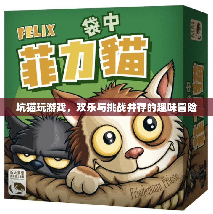 坑貓游戲，歡樂與挑戰(zhàn)交織的趣味冒險(xiǎn)之旅  第3張