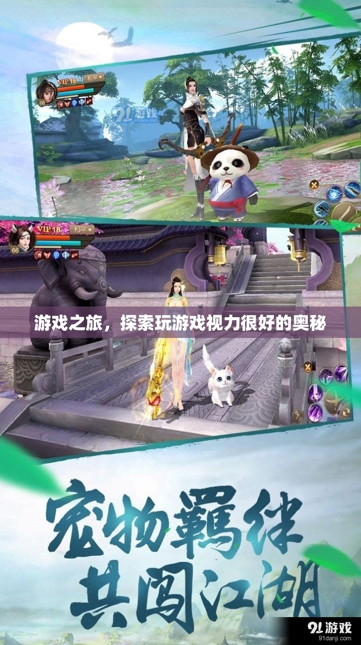 探索游戲之旅，揭秘視力良好的游戲玩家奧秘