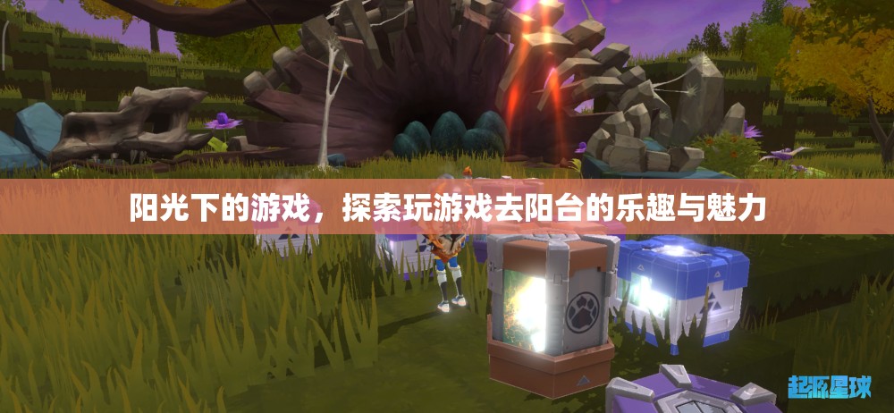 陽臺上的陽光游戲，解鎖戶外娛樂的樂趣與魅力