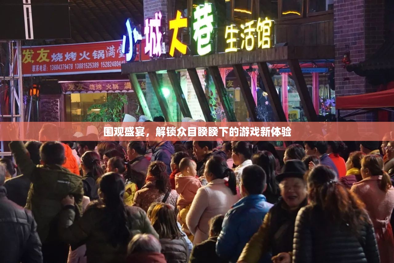 眾目睽睽下的游戲盛宴，解鎖圍觀者的新體驗(yàn)