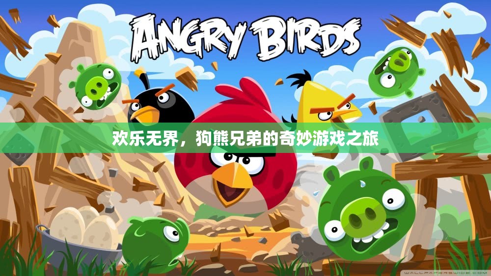 狗熊兄弟的歡樂無界奇妙游戲之旅  第3張