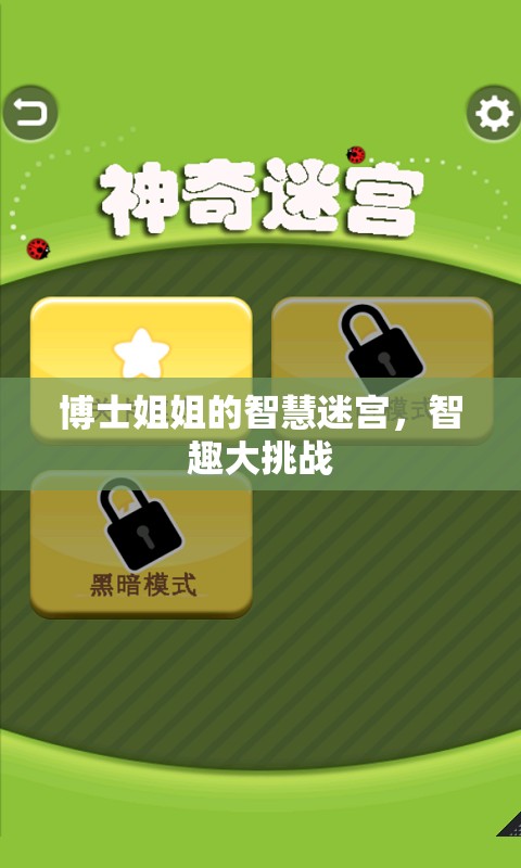 博士姐姐的智慧迷宮，智趣大挑戰(zhàn)