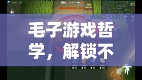 毛子游戲哲學(xué)，解鎖獨(dú)特游戲體驗的鑰匙