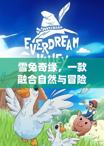 雪兔奇緣，自然與冒險的趣味之旅