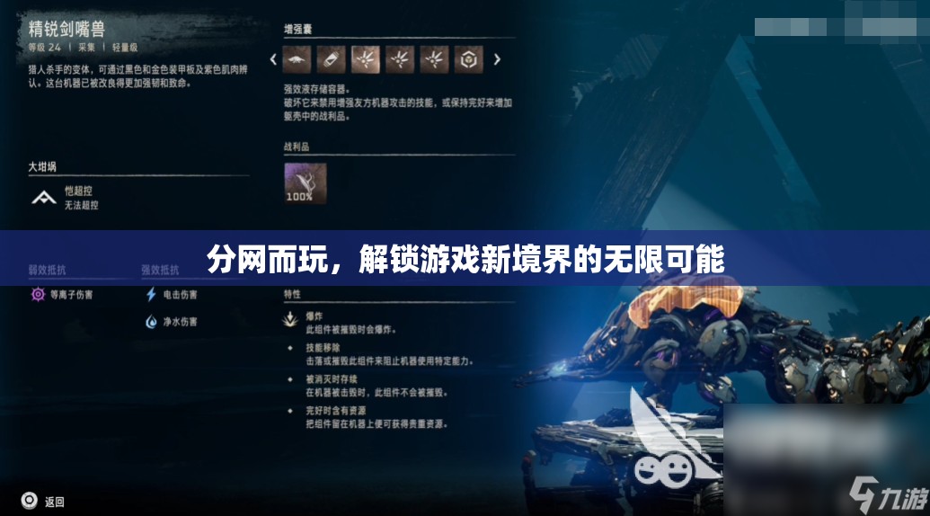 分網(wǎng)而玩，解鎖游戲新境界的無限可能