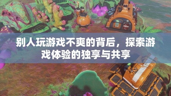 探索游戲體驗(yàn)的獨(dú)享與共享，揭秘他人游戲不爽的背后