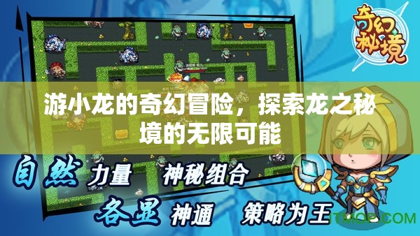 游小龍，龍之秘境的奇幻探險(xiǎn)之旅