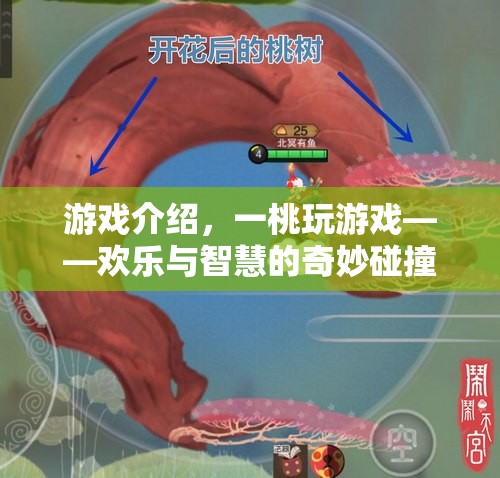 一桃玩游戲，歡樂與智慧的奇妙碰撞