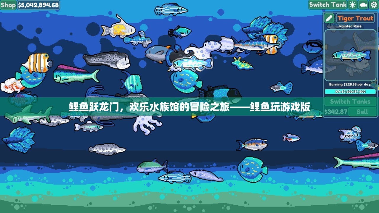 鯉魚躍龍門，歡樂水族館的冒險之旅