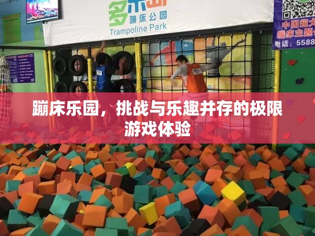 蹦床樂(lè)園，挑戰(zhàn)與樂(lè)趣的極限游戲之旅