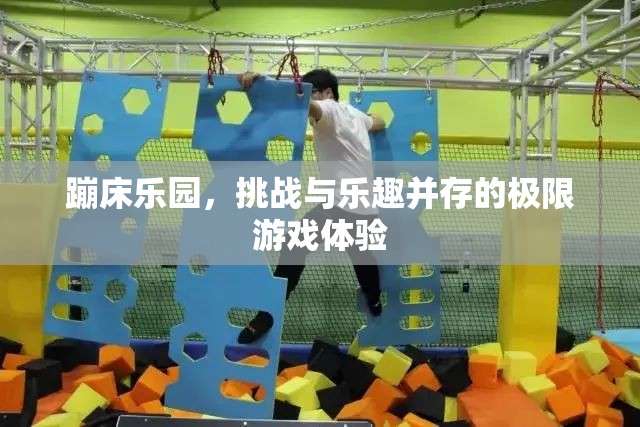 蹦床樂(lè)園，挑戰(zhàn)與樂(lè)趣的極限游戲之旅