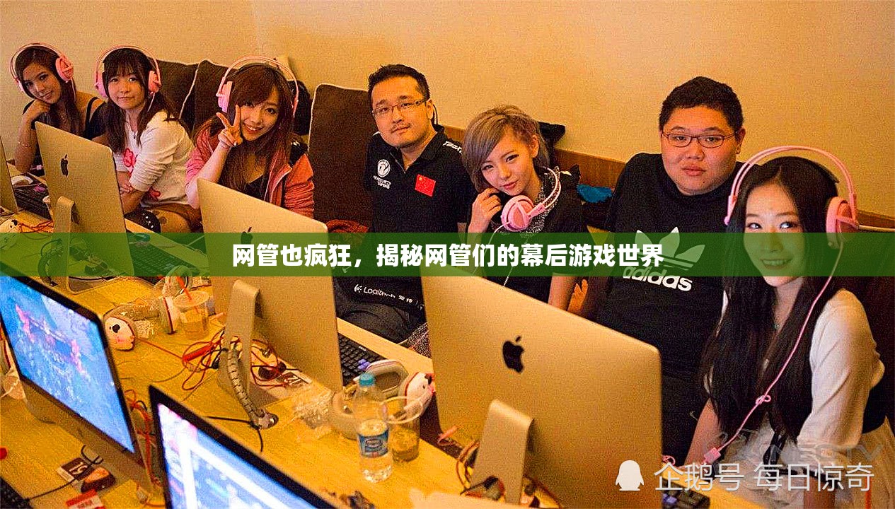 網管們的幕后游戲世界，揭秘他們的瘋狂日常