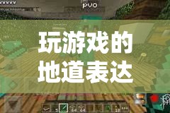 探索游戲文化的深度與廣度，地道表達(dá)中的游戲世界