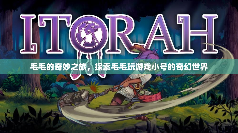 毛毛的奇幻游戲之旅，探索小號世界的奇妙冒險
