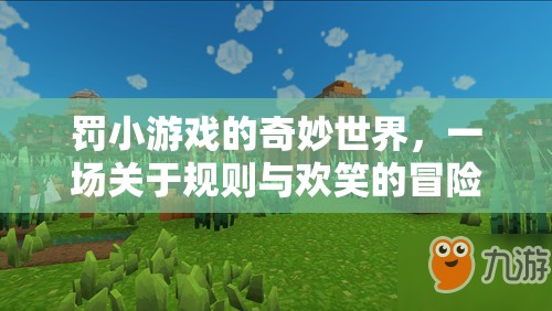 罰小游戲的奇妙世界，規(guī)則與歡笑的冒險(xiǎn)之旅