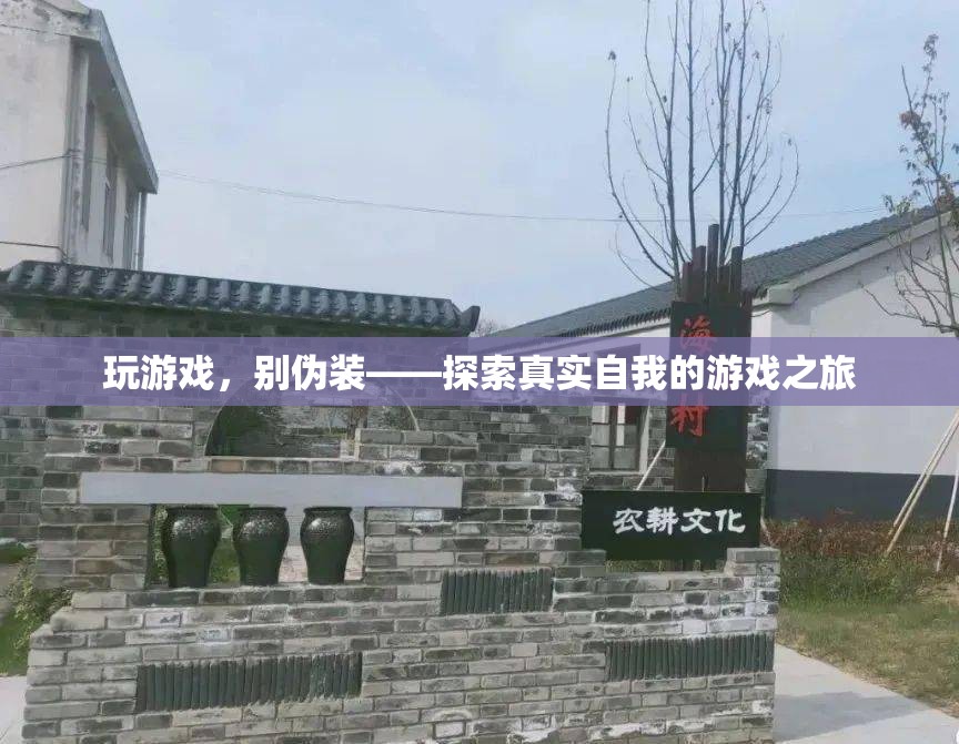 玩游戲，別偽裝，一場(chǎng)探索真實(shí)自我的游戲之旅  第1張