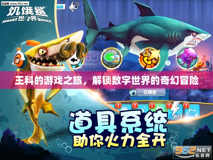 王科的數字世界奇幻冒險，解鎖游戲之旅的無限可能