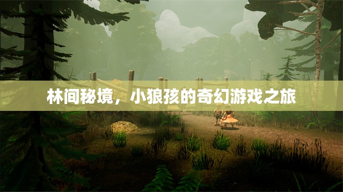 林間秘境，小狼孩的奇幻游戲之旅